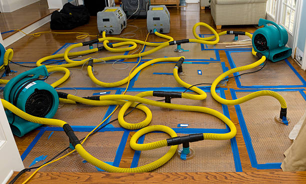 Professional Emergency Water Removal technician working in Damascus, MD